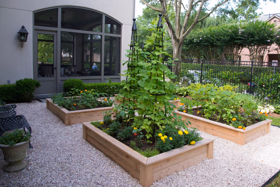 image of plated gourmet dish