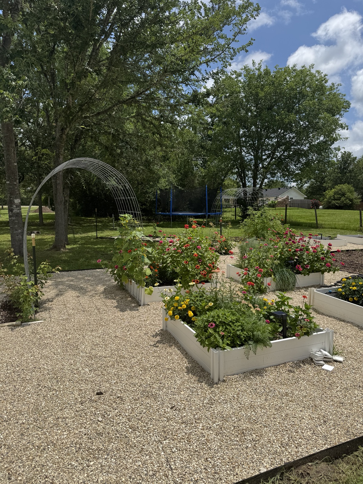 Home Garden Layout