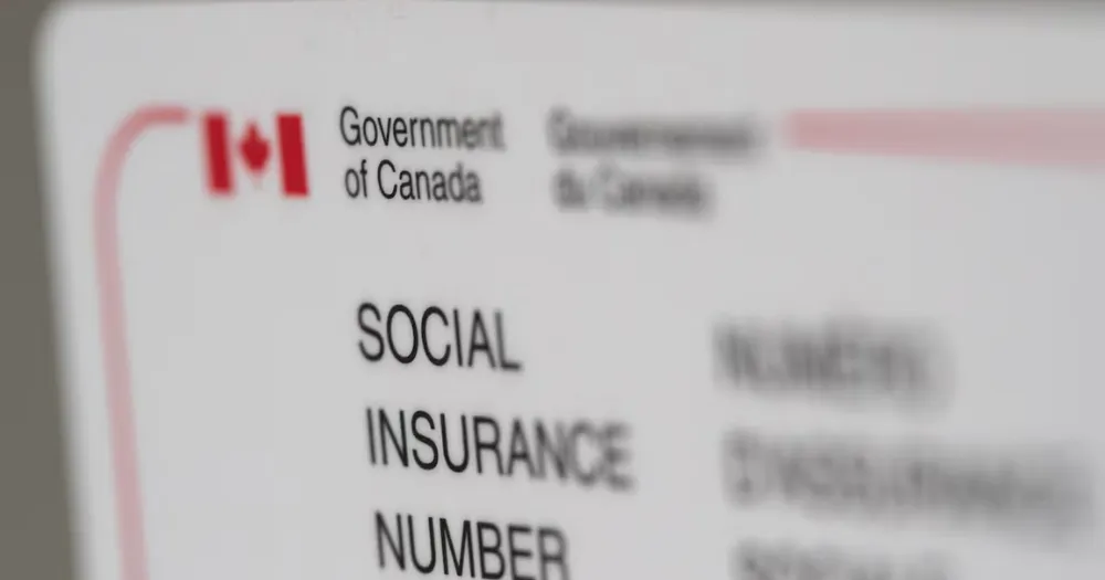 SIN Number Application: When and How to Apply | Pacific Relocation - Blog
