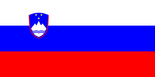 Slovenia flag icon