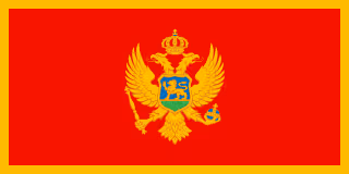 Montenegro flag icon