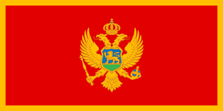 Montenegro flag icon