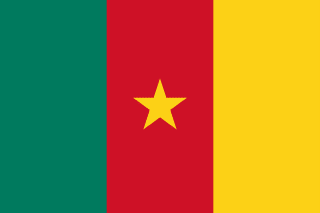Cameroon flag icon