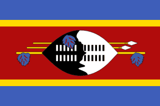 Eswatini flag icon