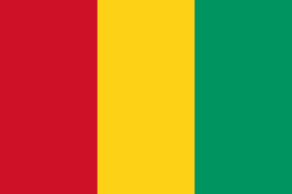 Guinea flag icon