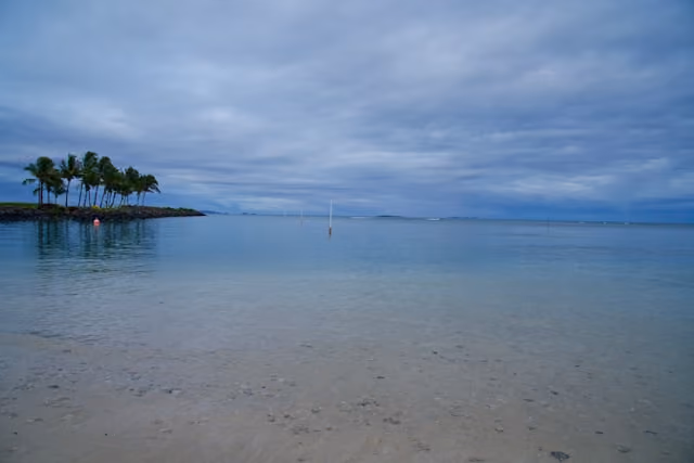 Tropical coast and palm-lined beach near Nadi, Fiji
