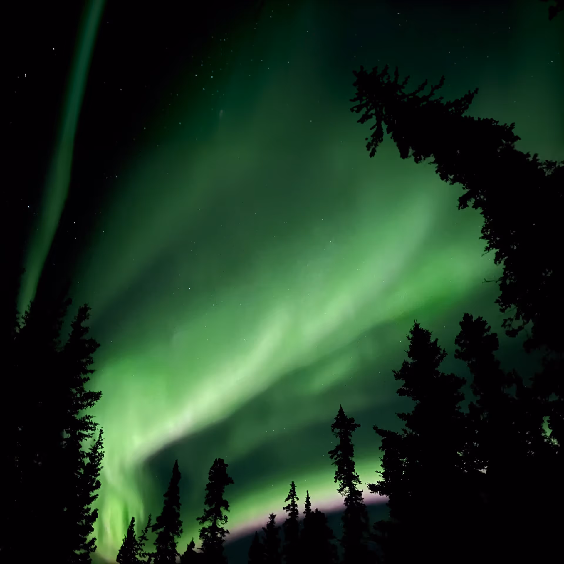 Northern Lights as seen from WILDE School Yukon in Whitehorse