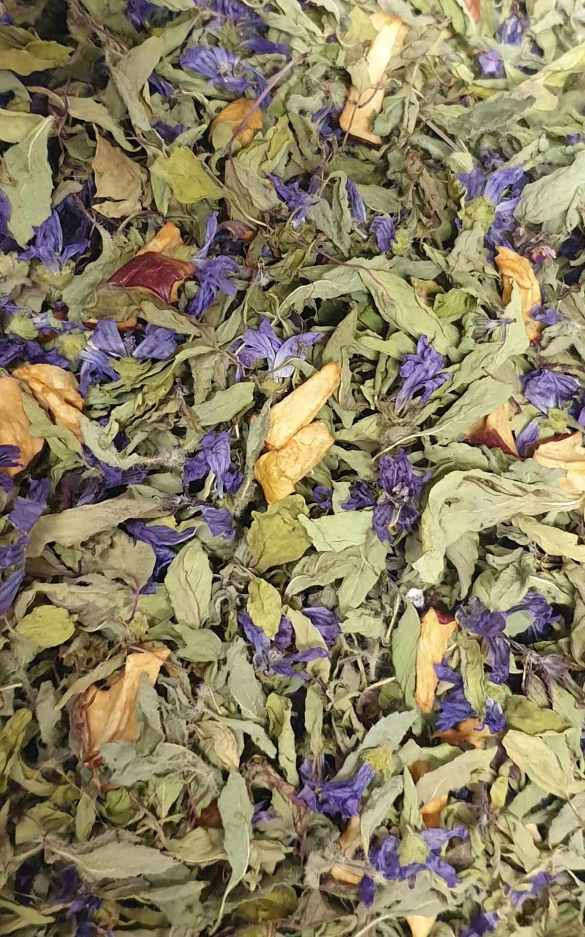 image des plantes composant la tisane de noel