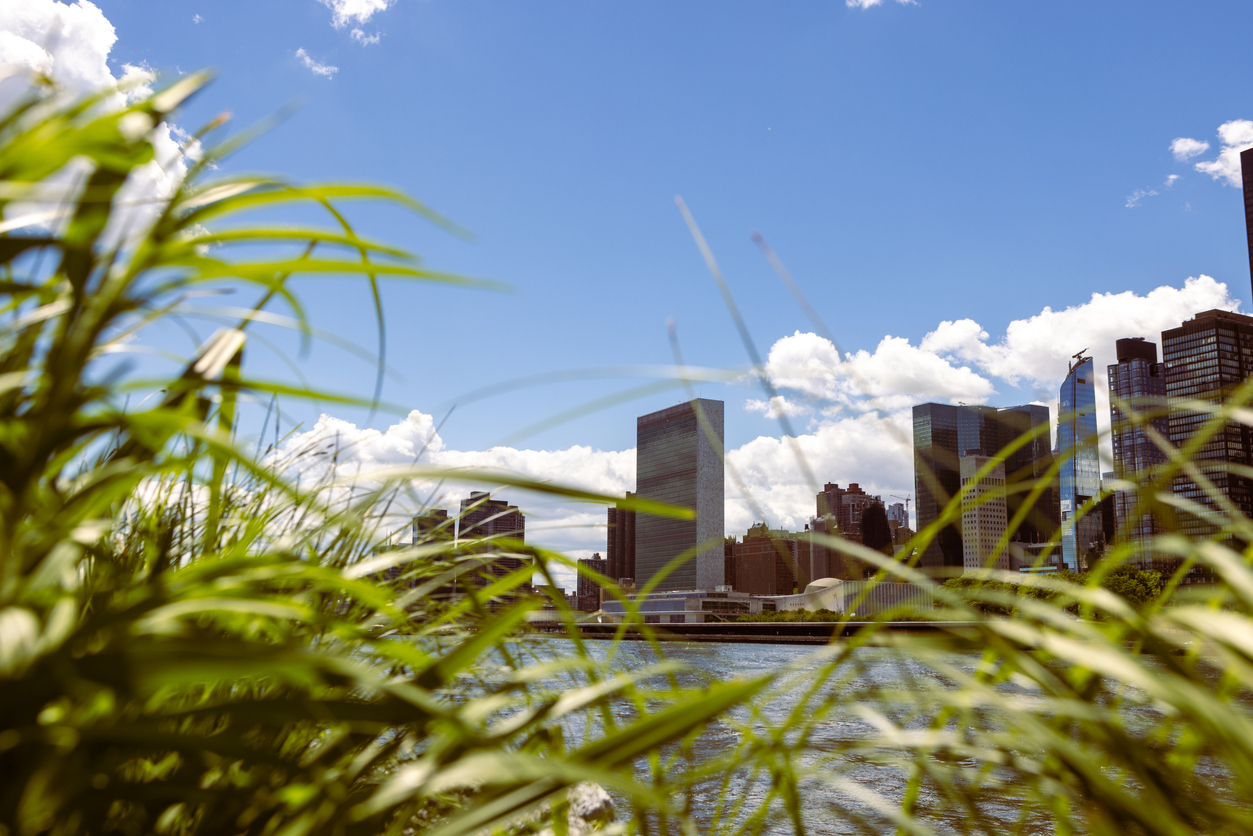 Cityscape Through Greenery