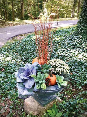 Decorative green planter with pumpkins, purple cabbage, white flowers, and bare orange branches set outdoors on a stone base surrounded by ivy.