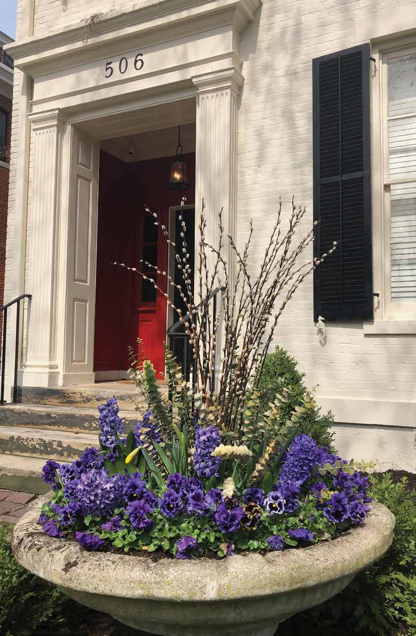 Stone planter with vibrant purple flowers, tall pussy willow branches, and green foliage in front of a white brick building with a red door and black shutters.