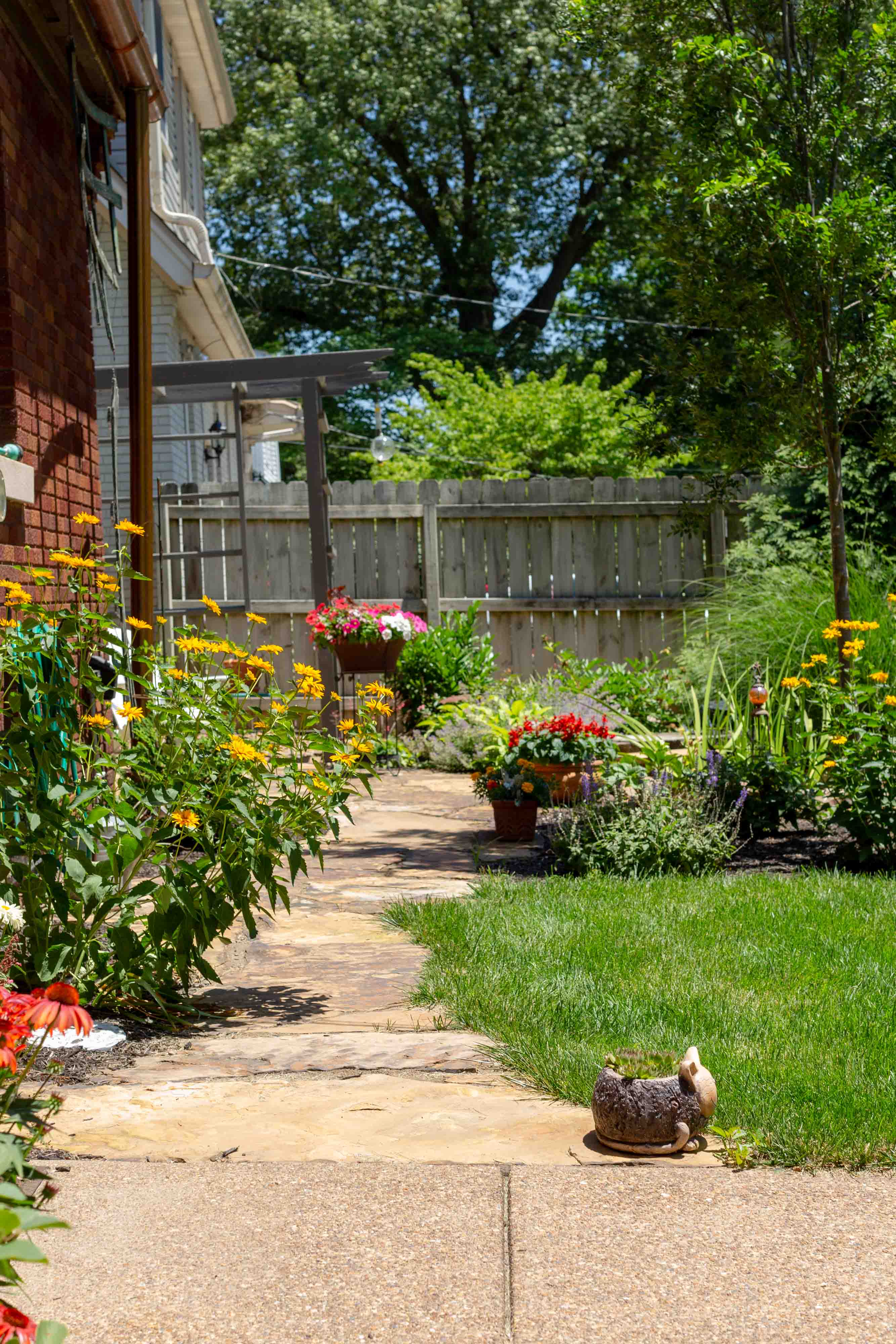 Sunny backyard garden with a stone pathway, green lawn, colorful flowers, and a wooden fence.