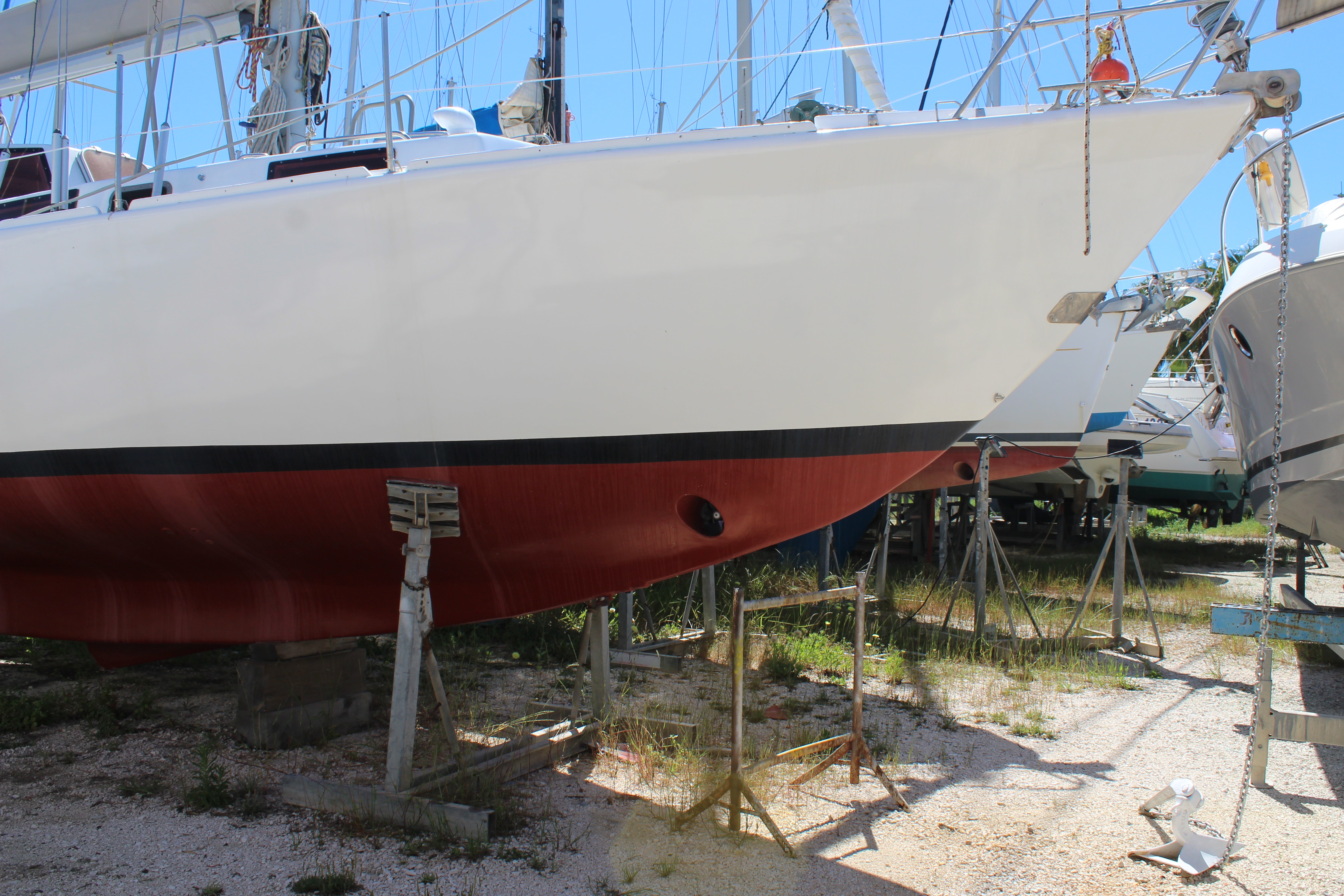 Trismus 37