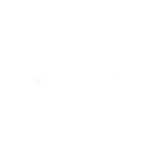 EMPERIUS logo with a crown icon above the text and the tagline 'Strategy & Digital Infrastructure' below in white on a black background.