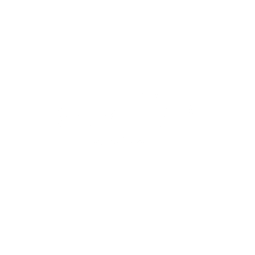 Emperius logo with a crown above the text.