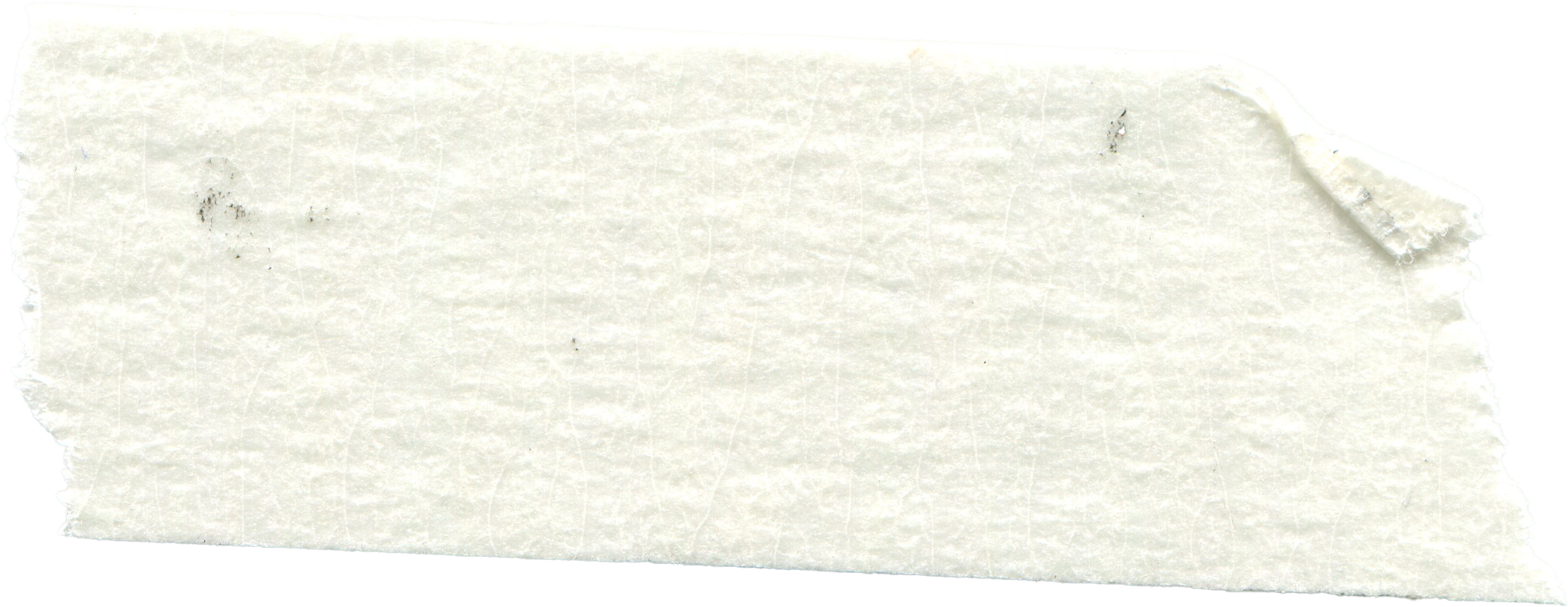 Piece of torn white masking tape with slightly curled end and faint smudges.