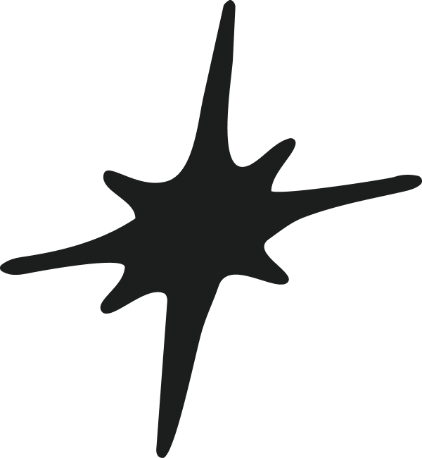 Abstract black starburst shape with uneven elongated points on a transparent background.