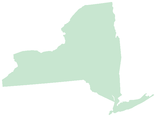 Pale mint silhouette of the state of New York
