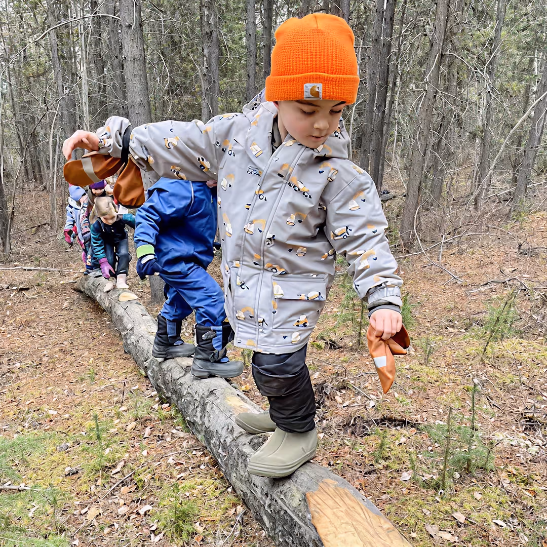 WILDE Forest Therapy