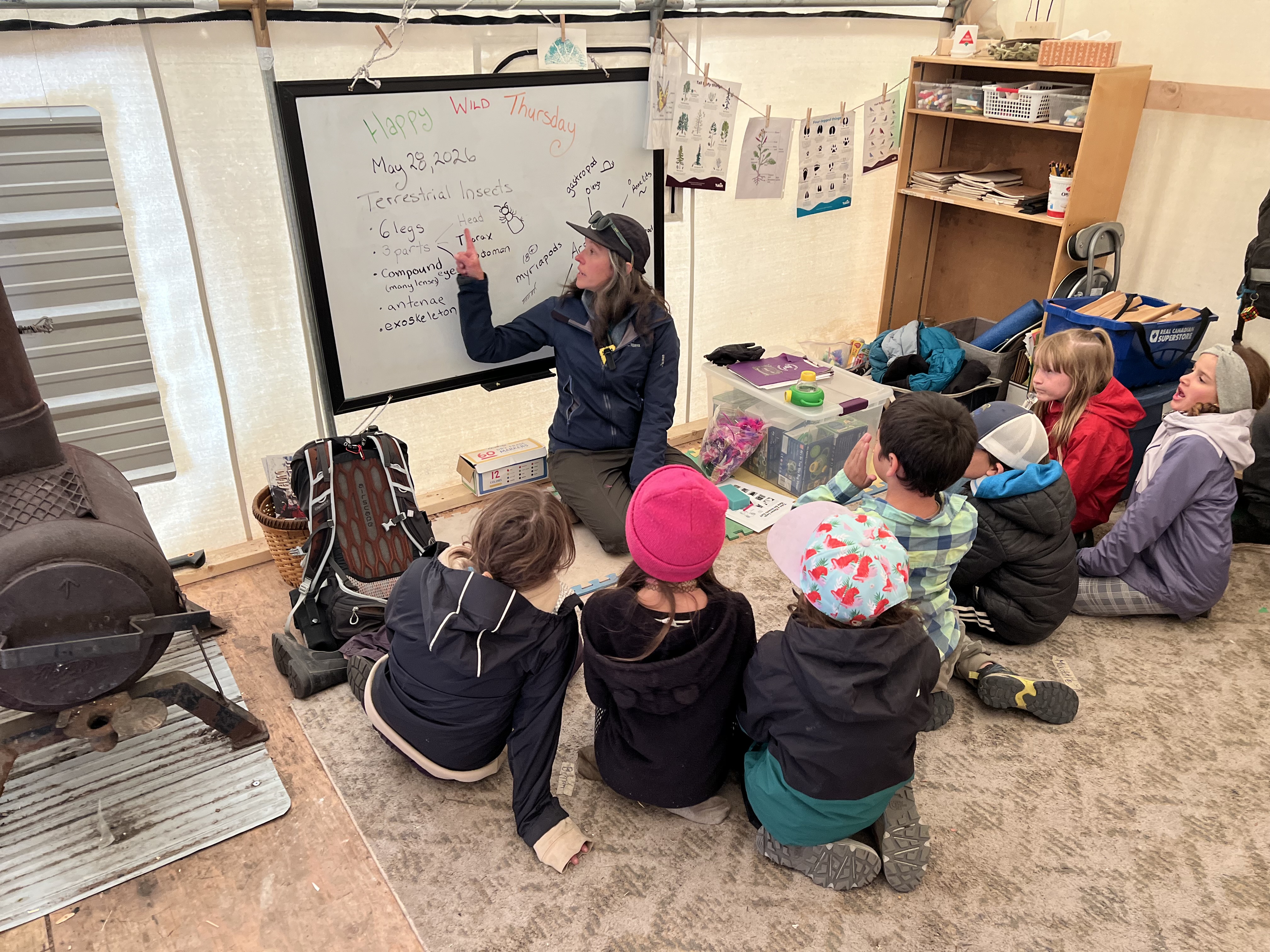 Carrie Harbidge, Teacher