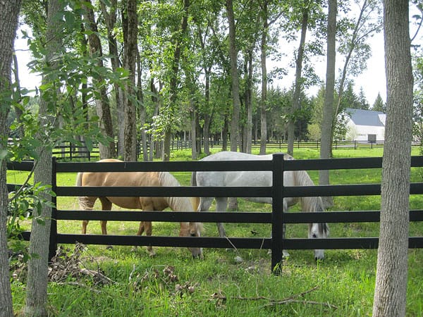 Black rail fence installed on a horse property