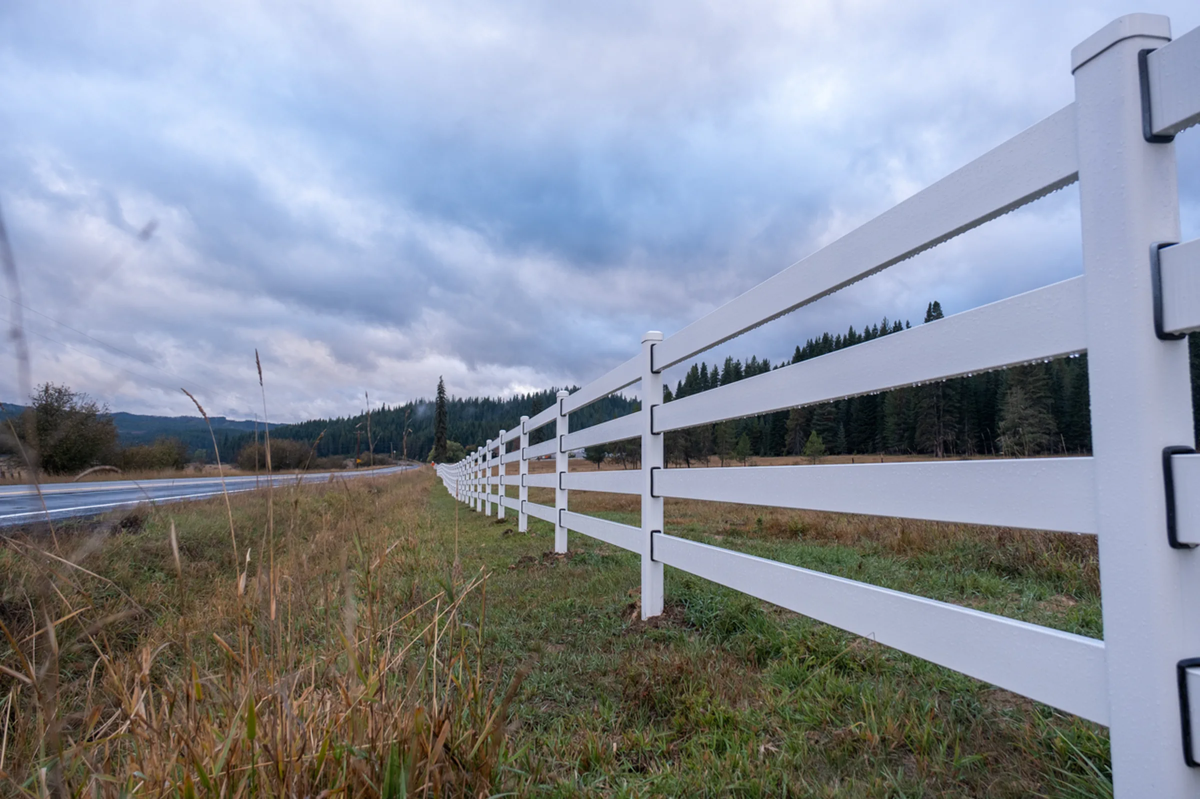 White Buckley Steel Board fencing along Nicci's horse property