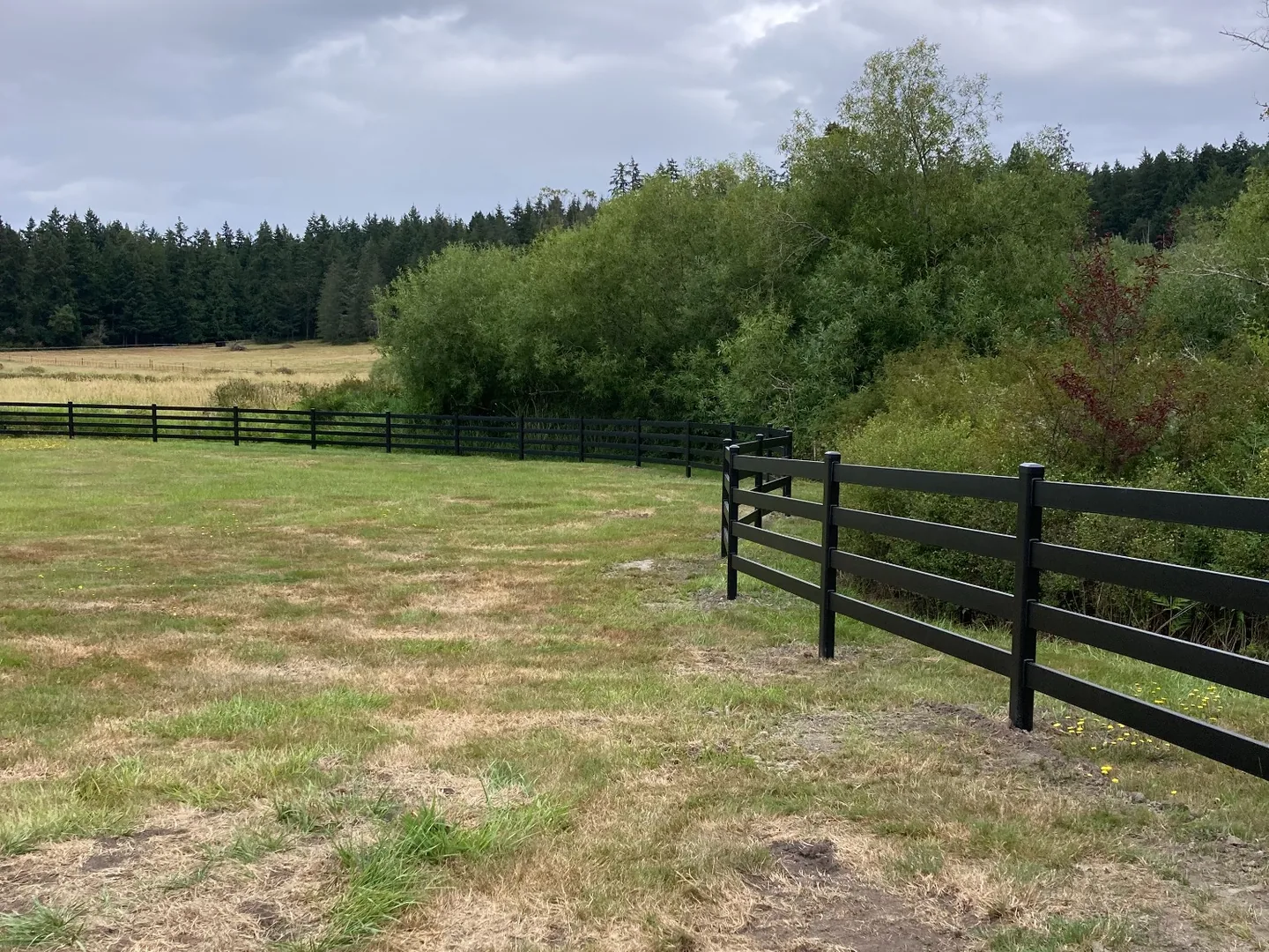 Black Buckley Steel Board fence defining the field boundary on San Juan Island