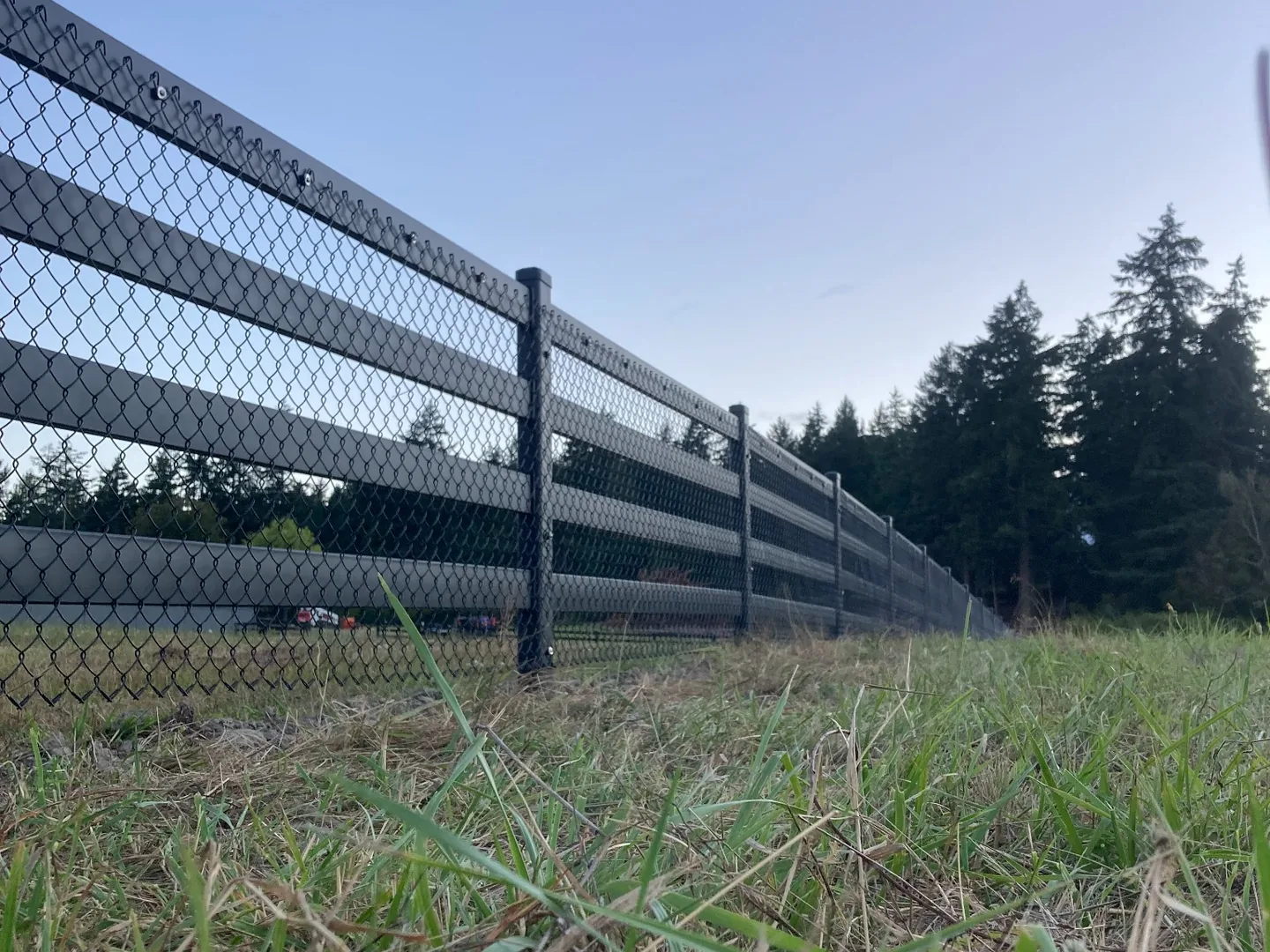 Low-angle view of chain-link infill and Buckley Steel Board fence on San Juan Island