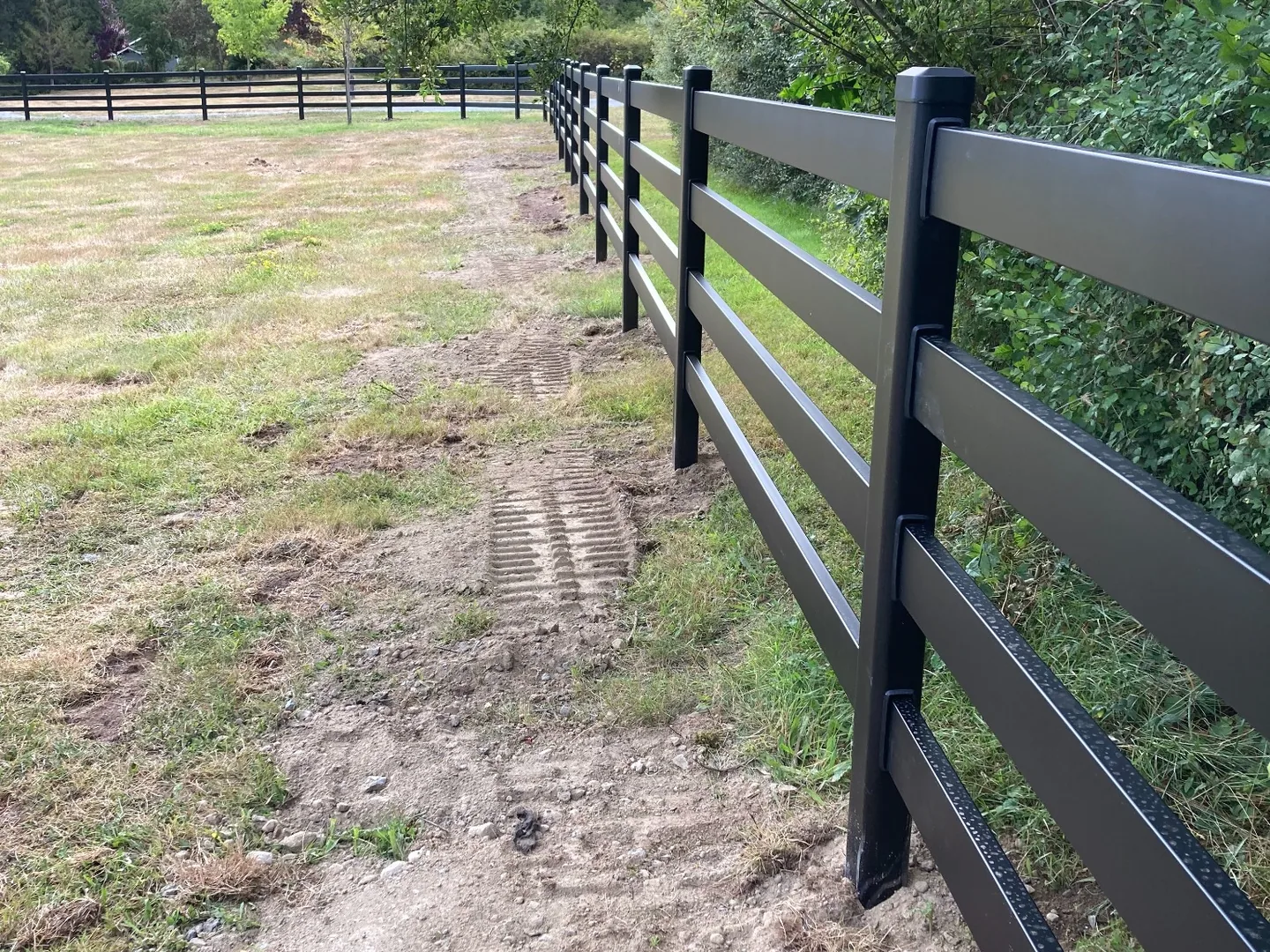 Black Buckley Steel Board fence running along the wooded property edge on San Juan Island