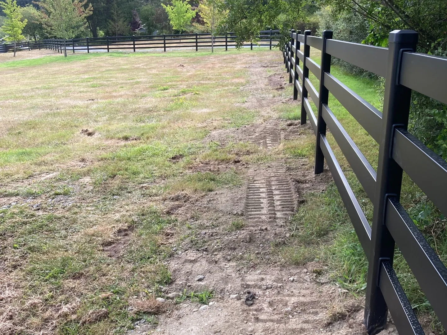 Wide view of Buckley Steel Board fencing along the property edge on San Juan Island