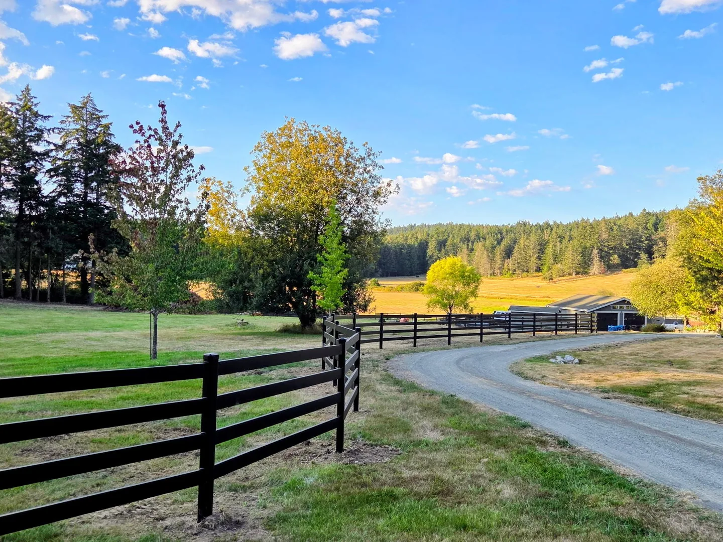 Black Buckley Steel Board fence framing the driveway and estate landscape on San Juan Island