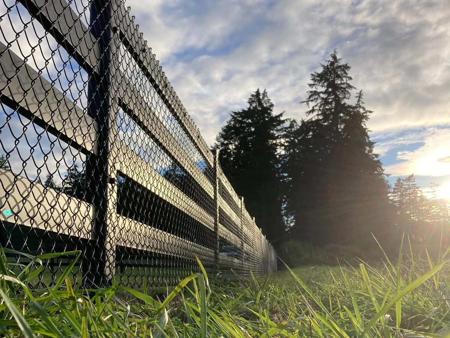 Low-angle sunset view of black Buckley Steel Board with chain-link infill on San Juan Island