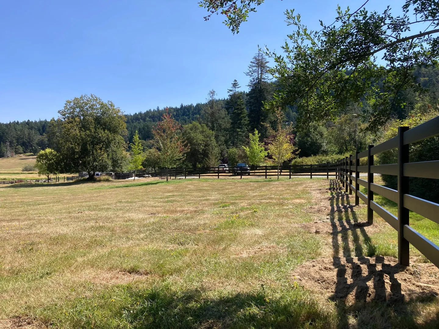 Sunny field view of a long black Buckley Steel Board fence run on San Juan Island
