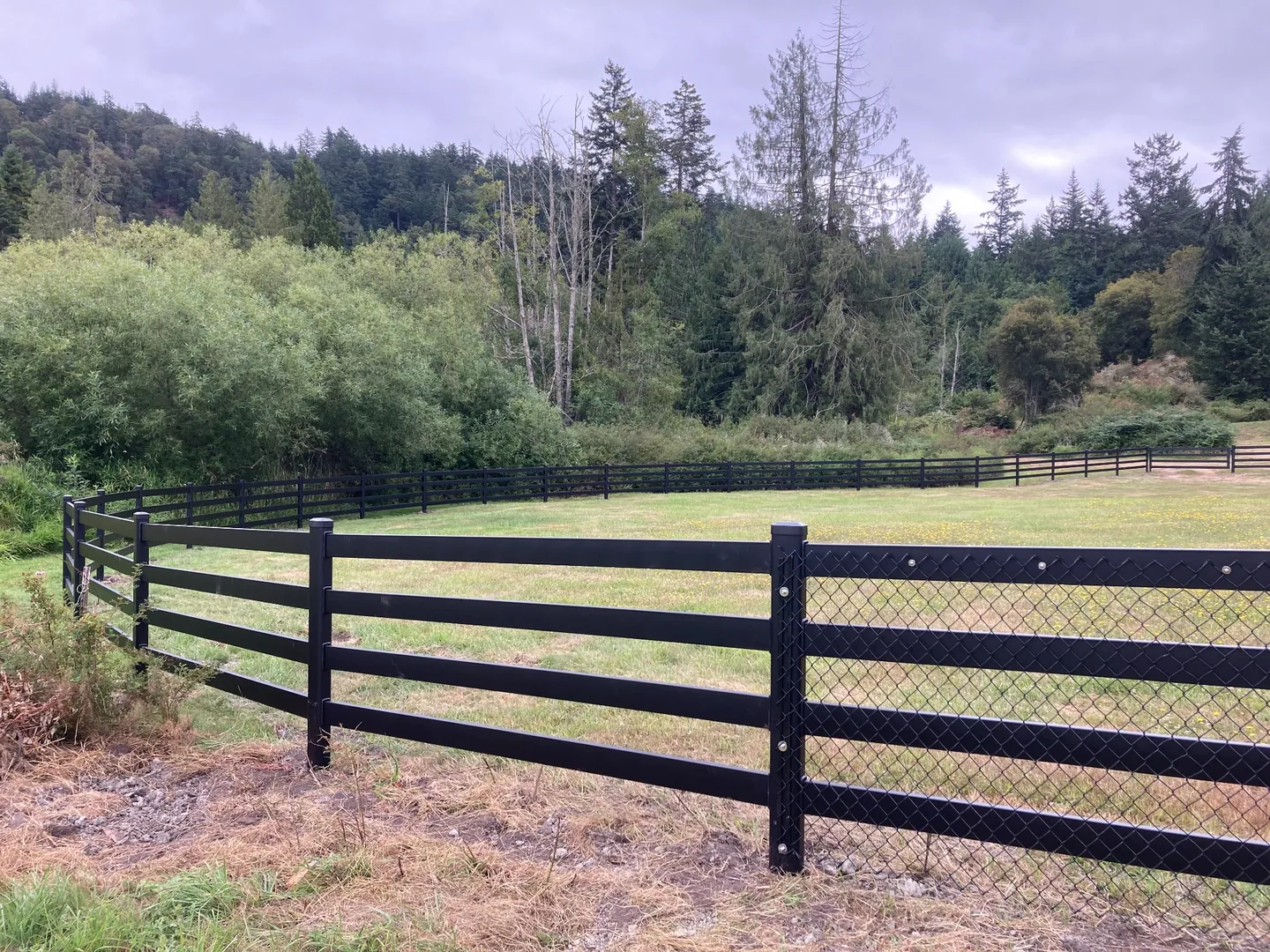 Wide field and estate view with Buckley Steel Board fencing on San Juan Island