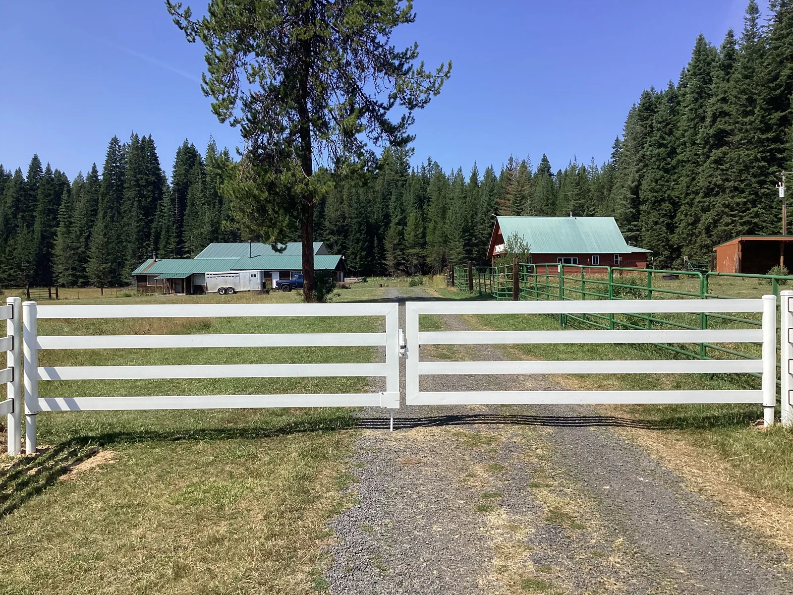 White Buckley Steel Board double gate at the Clarkia, Idaho horse property