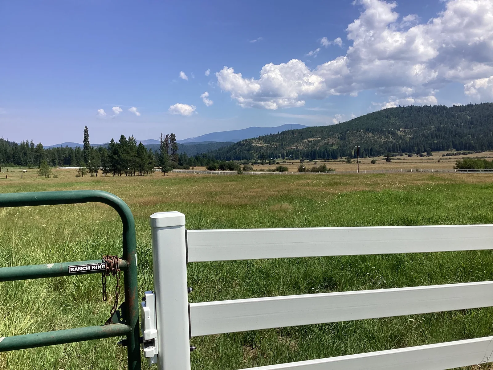 White Buckley Steel Board gate with mountain scenery at the Clarkia, Idaho horse property