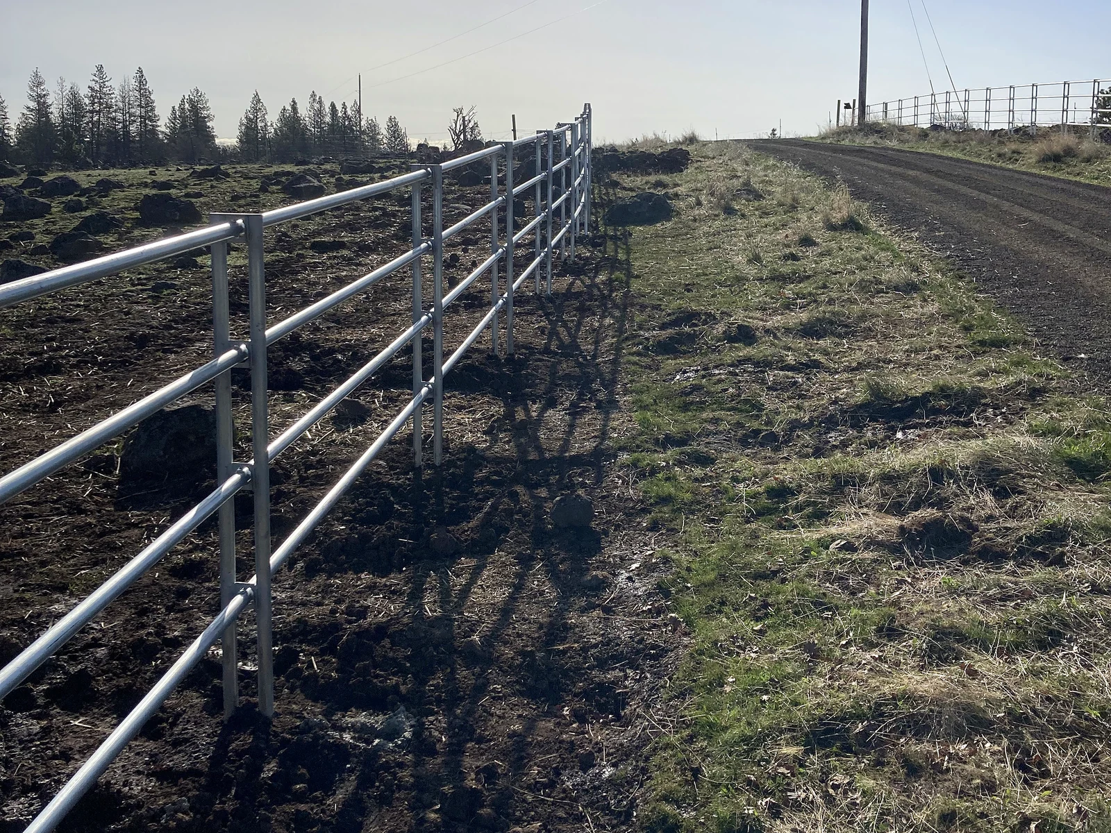 Noble Contour fence running beside the Goldendale driveway