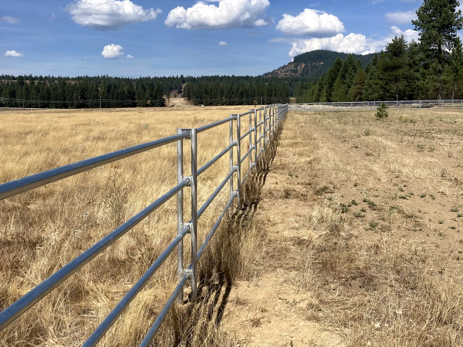 Pasture long run at the Hayden, Idaho Dream Ranch project