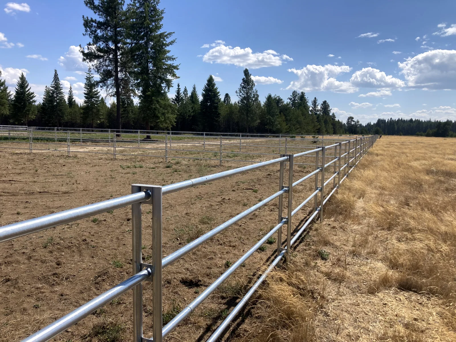 Field fence line at the Hayden, Idaho Dream Ranch project
