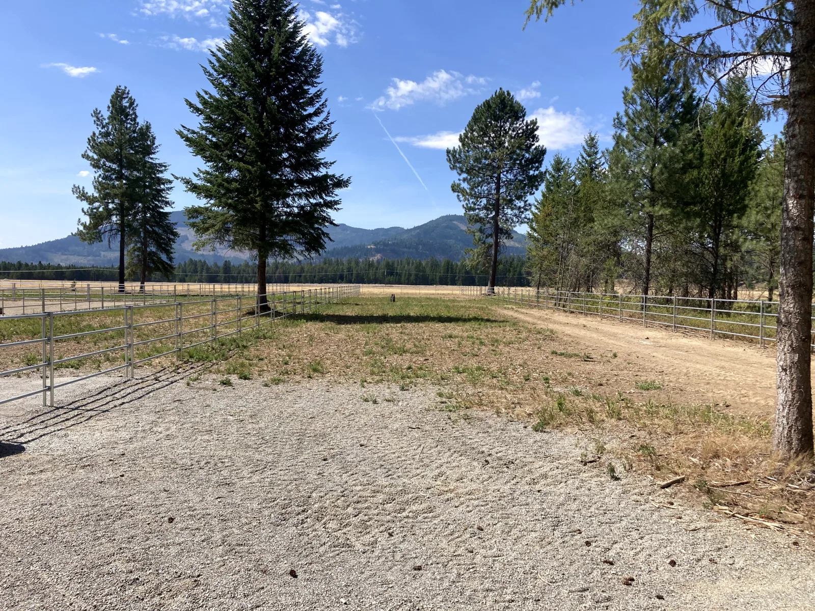 Arena with mountain backdrop at the Hayden, Idaho Dream Ranch project