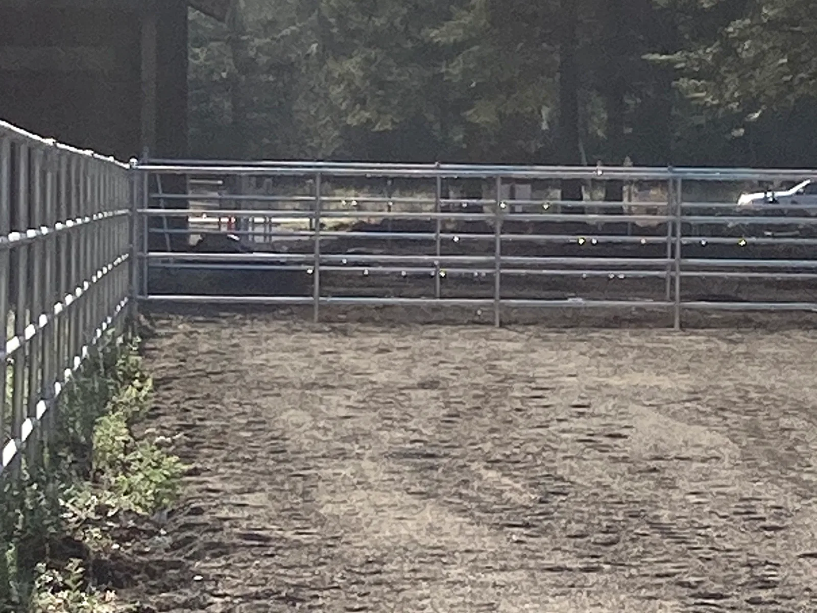 Shaded gate / fence at the Hayden, Idaho Dream Ranch project