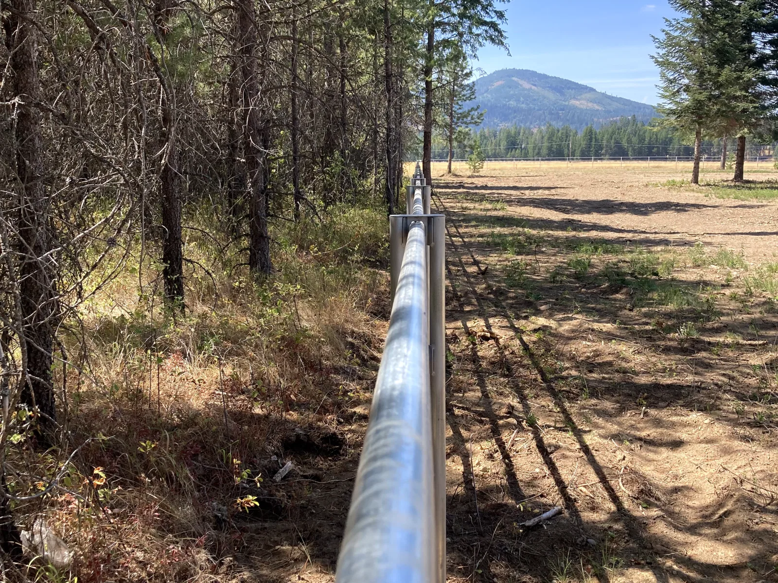 Woodland long run at the Hayden, Idaho Dream Ranch project