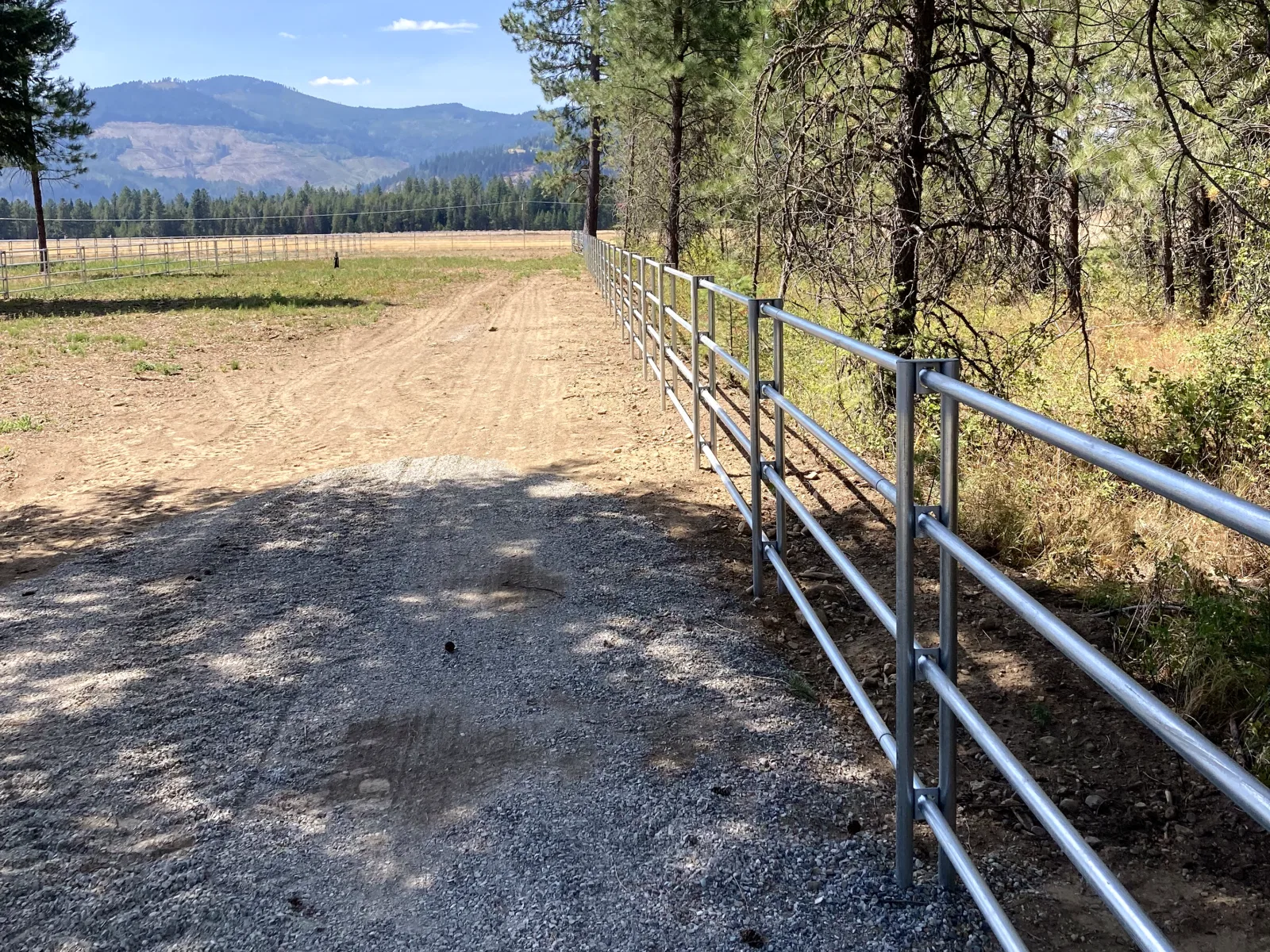Tree-line fence run at the Hayden, Idaho Dream Ranch project