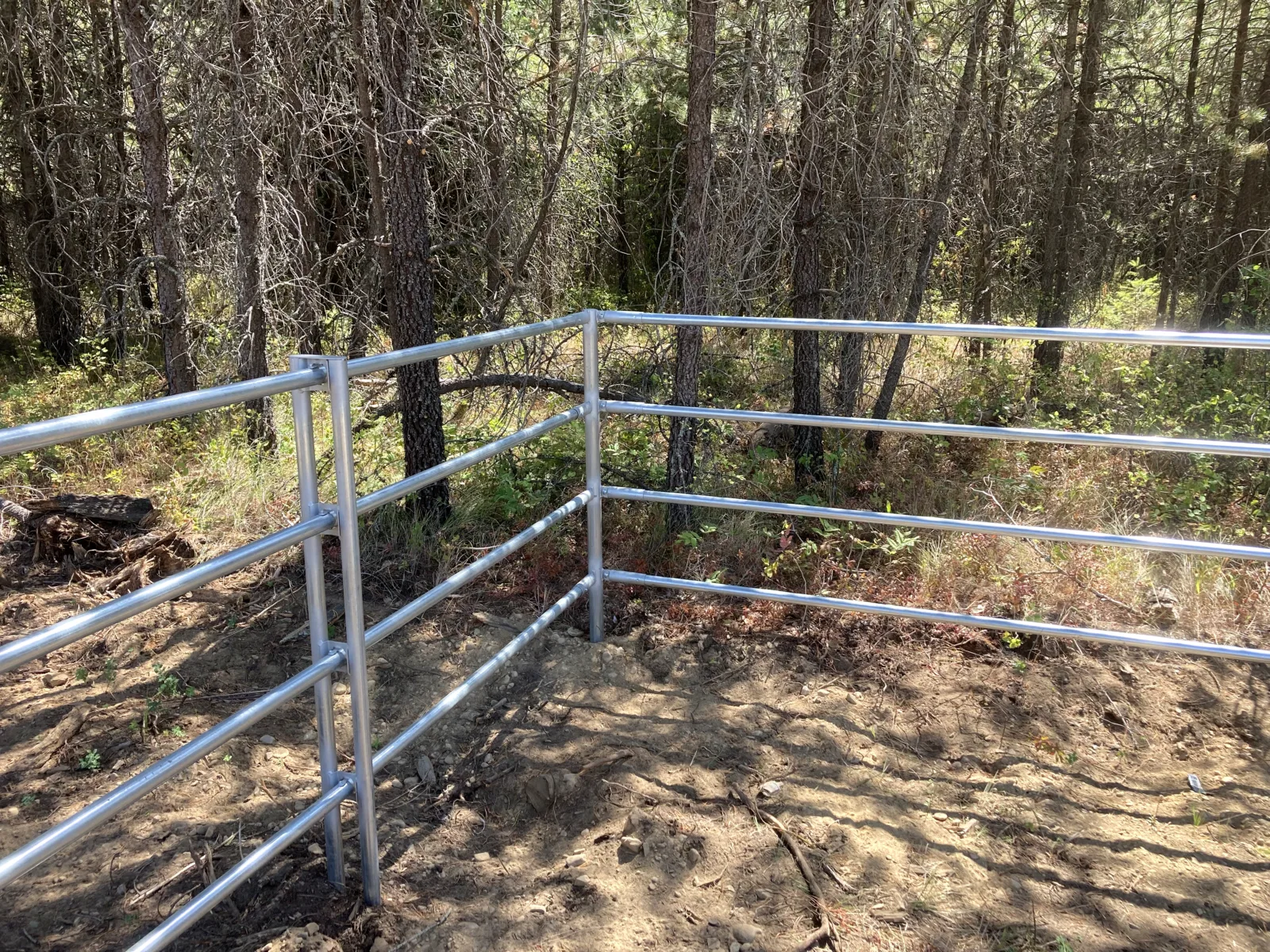 Woodland fence corner at the Hayden, Idaho Dream Ranch project
