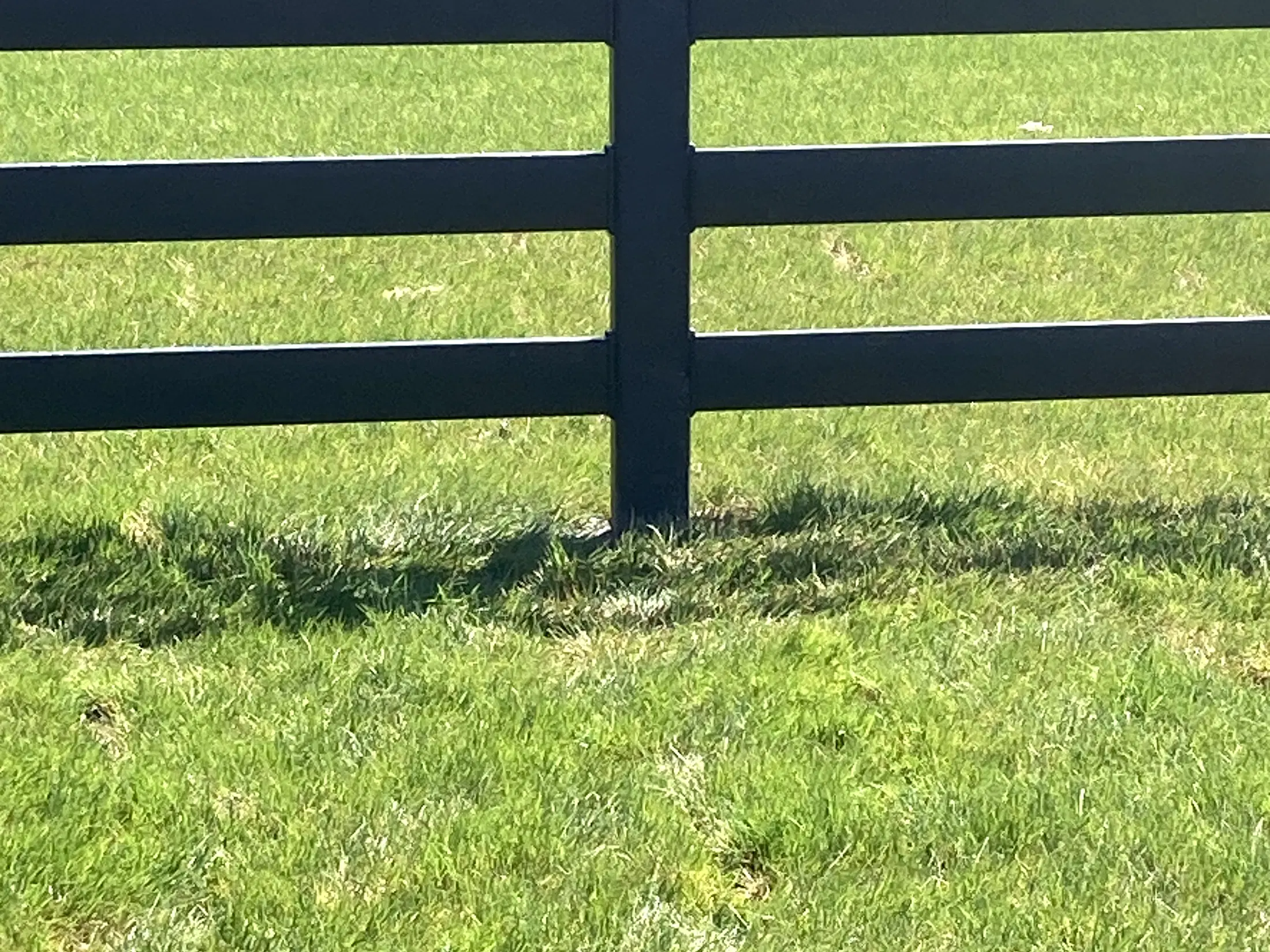 Steel Board rail detail at Faith Walk Community Fitness Park in Coeur d'Alene, Idaho