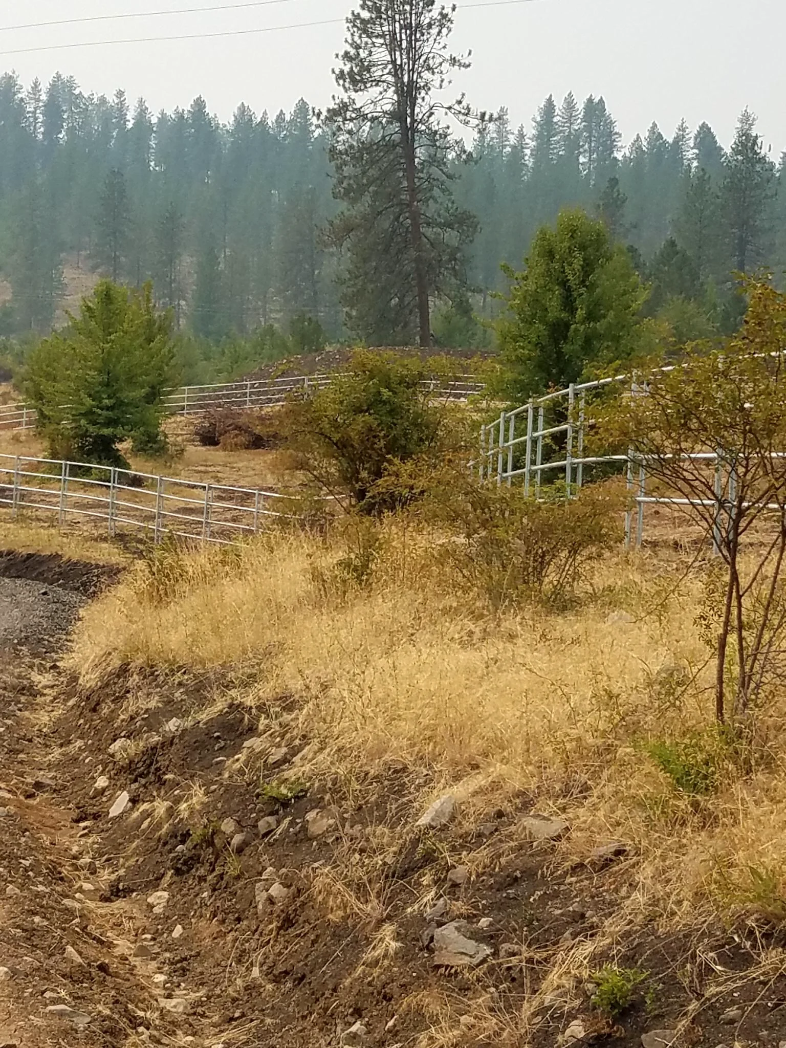 Noble Contour fence threading through trees and rolling ground near Stites, Idaho