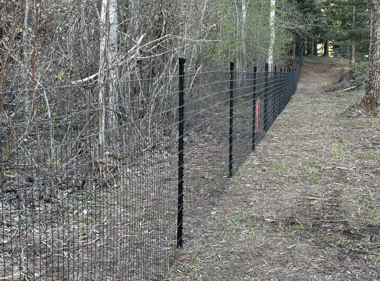 Black no-climb mesh fence continuing through the trees along the North Idaho property boundary.