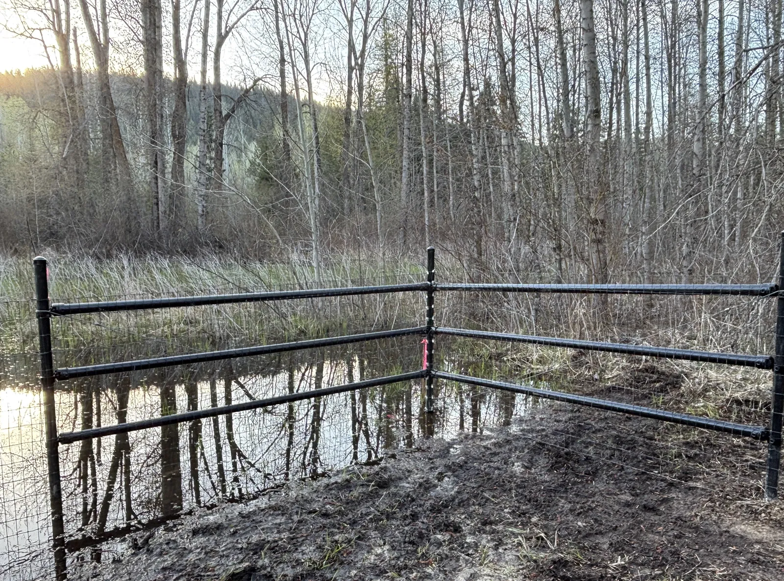 Black steel corner and brace section of Frontier mesh fence in wet wooded ground.