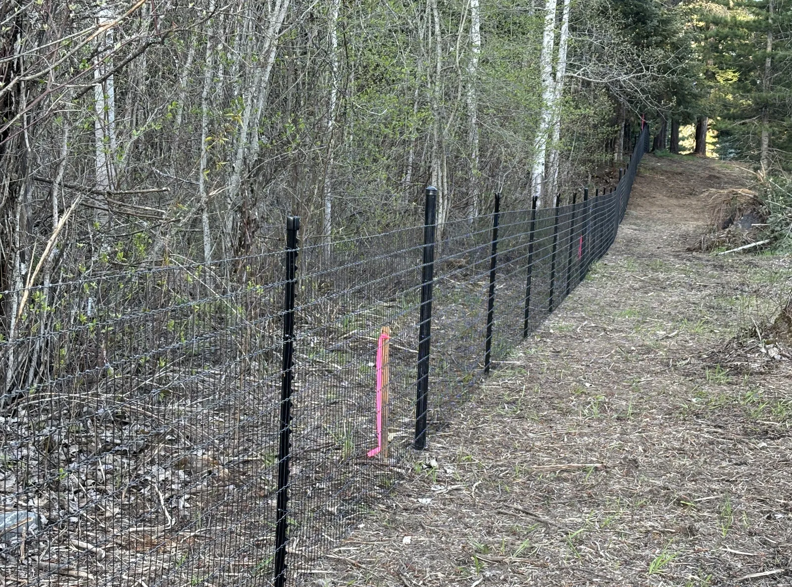 Long black Frontier mesh fence line using black T-posts along the wooded side of the property.