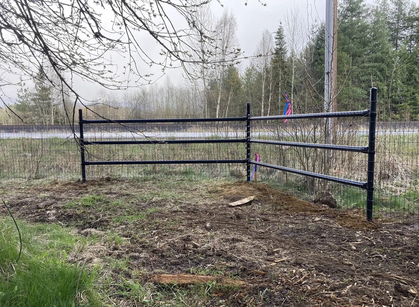 Braced black steel corner with no-climb mesh along the North Idaho enclosure.